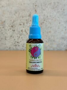 Florais para emagrecer atuam como terapia complementar, focando no equilíbrio emocional para combater ansiedade e compulsão alimentar, e não como substitutos de dieta e exercícios; essências comuns incluem Cherry Plum (controle), Crab Apple (autoimagem) e Impatiens (impaciência), ajudando na disciplina e foco, sendo usados com gotas sublinguais ou em água, várias vezes ao dia, sempre com orientação profissional. 